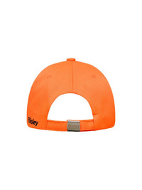 ECAP51 BISLEY HI VIS BASEBALL - Fluorescent orange (970 / BF61) - BACK